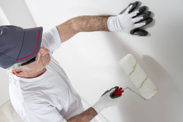 Best Drywall Removal and Disposal  in Abram, TX