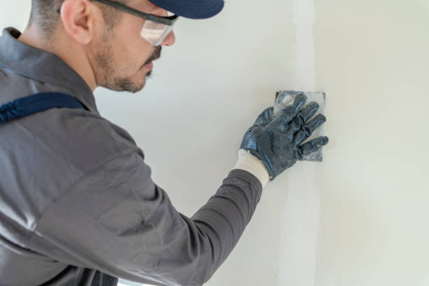 Best Drywall Repair  in Abram, TX