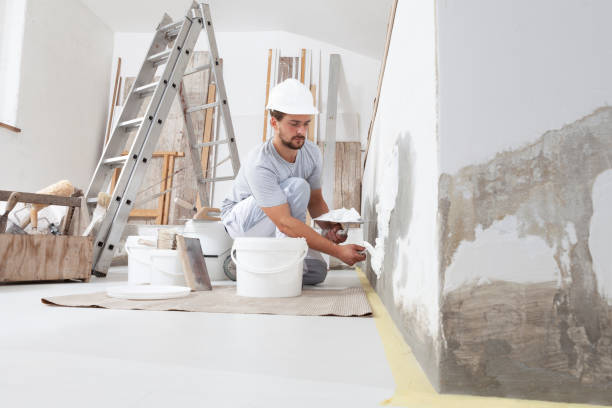 Best Fire-Damaged Drywall Repair  in Abram, TX