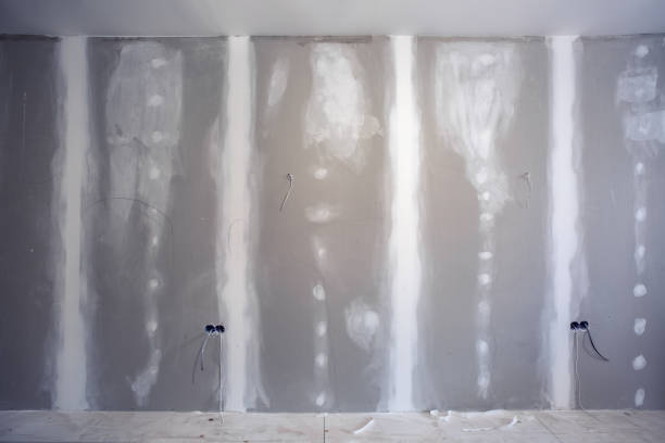 Best Drywall Sanding and Smoothing  in Abram, TX